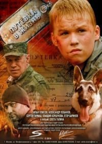 Путевка в жизнь (2013)