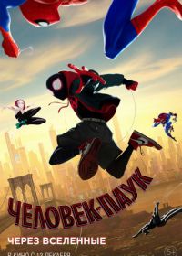 Человек-паук: Через вселенные (2018) Spider-Man: Into the Spider-Verse