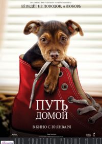 Путь домой (2019) A Dog's Way Home