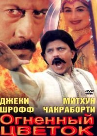 Огненный цветок / Цветок и пламя (1999) Phool Aur Aag