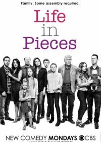 Жизнь в деталях (2015) Life in Pieces