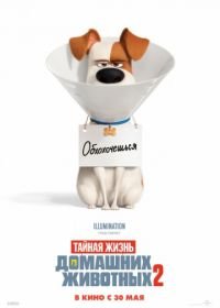 Тайная жизнь домашних животных 2 (2019) The Secret Life of Pets 2