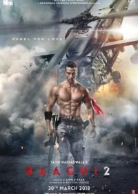 Бунтарь 2 (2018) Baaghi 2