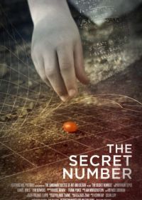 Тайное число (2012) The Secret Number