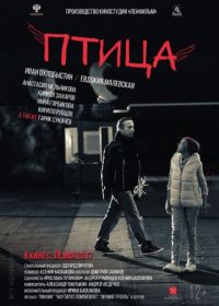 Птица (2017)