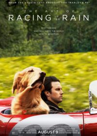 Невероятный мир глазами Энцо (2019) The Art of Racing in the Rain