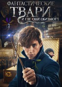 Фантастические твари и где они обитают (2016) Fantastic Beasts and Where to Find Them