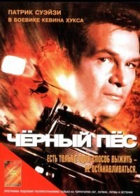 Черный пес (1998) Black Dog