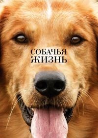 Собачья жизнь (2017) A Dog's Purpose