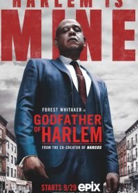 Крёстный отец Гарлема (2019) Godfather of Harlem