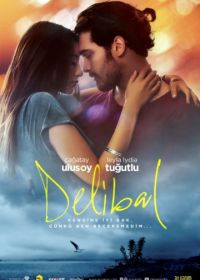 Дикий мёд (2015) Delibal