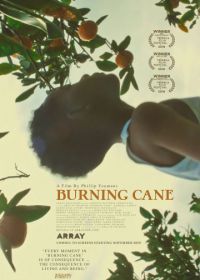 Горящий тростник (2019) Burning Cane