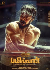 Рестлер (2019) Pailwaan