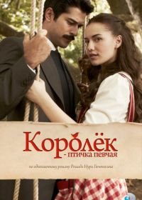 Королёк – птичка певчая (2013) Çalikusu