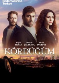 Узел (2016) Kördügüm