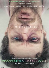 Миллион мелких осколков (2018) A Million Little Pieces