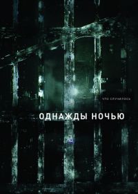 Однажды ночью (2016) The Night Of