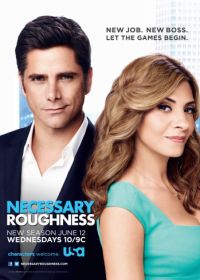 Необходимая жестокость (2011) Necessary Roughness