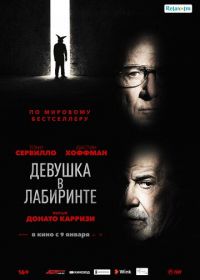 Девушка в лабиринте (2019) L'uomo del labirinto