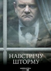 Навстречу шторму (2009) Into the Storm