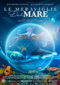 Чудеса моря в 3D (2017) Wonders of the Sea 3D