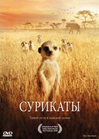 Сурикаты (2007) The Meerkats