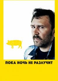 Пока ночь не разлучит (2012)