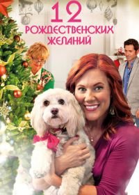 12 Рождественских желаний (2011) 12 Wishes of Christmas