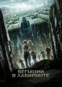 Бегущий в лабиринте (2014) The Maze Runner