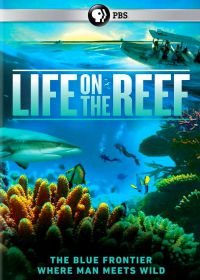 National Geographic. Жизнь на Большом Барьерном рифе (2014) Life on the Reef