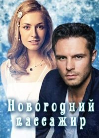 Новогодний пассажир (2017)