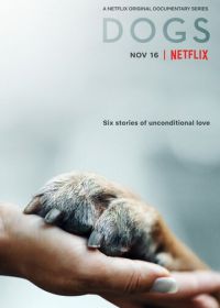 Собаки (2018) Dogs