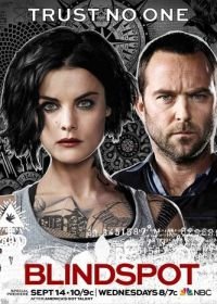 Слепая зона (2015) Blindspot