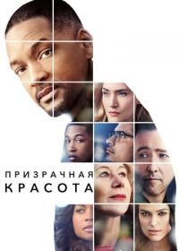 Призрачная красота (2016) Collateral Beauty