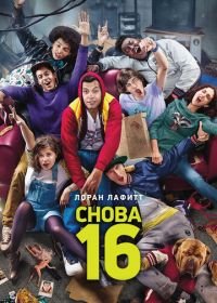 Снова 16 (2013) 16 ans ou presque