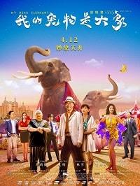 Дорогие мои слоны (2019) My Dear Elephant