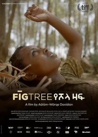 Инжир (2018) Fig Tree