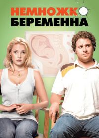 Немножко беременна (2007) Knocked Up