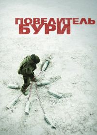 Повелитель бури (2008) The Hurt Locker