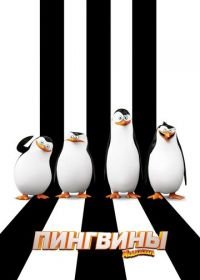 Пингвины Мадагаскара (2014) Penguins of Madagascar