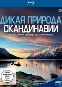 Дикая природа Скандинавии (2011) Wildes Skandinavien