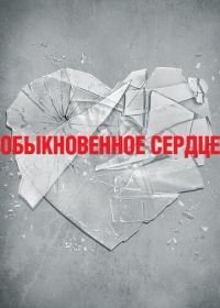 Обыкновенное сердце (2014) The Normal Heart