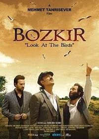 Посмотри на птиц (2019) Bozkir Kuslara Bak Kuslara