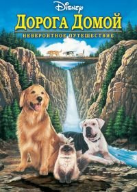 Дорога домой: Невероятное путешествие (1993) Homeward Bound: The Incredible Journey