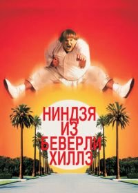 Ниндзя из Беверли Хиллз (1997) Beverly Hills Ninja