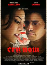 Рыдай сейчас (2014) Cry Now