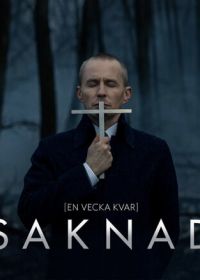 Пропавшая (2017) Saknad