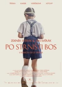 Босиком по стерне (2017) Po strnisti bos