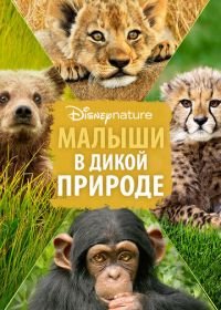 Малыши в дикой природе (2016) Growing Up Wild