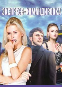 Экспресс-командировка (2016)